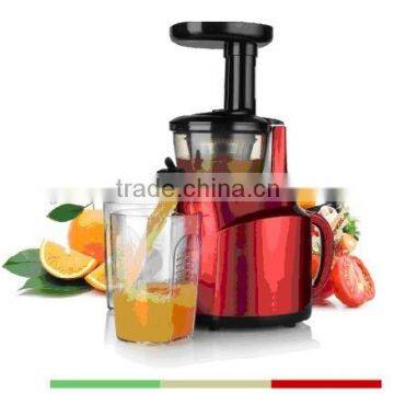 Low Speed Low Noise Slow Juicer With 150W DC Motor