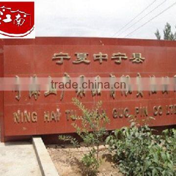 Ninghai Goji Berry photo-2