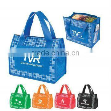 tote cooler bag for frozen food