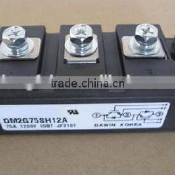IGBT Module DM2G75SH6A