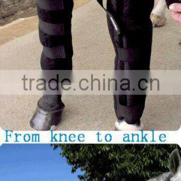 Equine Sport Boots