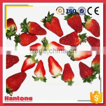 Good Taste Iqf Fruit Frozen Fresh Strawberry