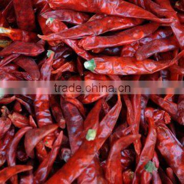 Dried red chillies