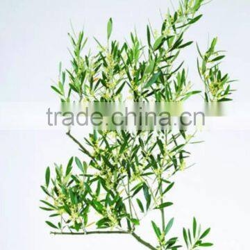 Digital Printing Sheet Glass Manufacture The Float Process photo-5