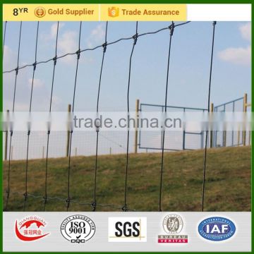 Hot galvanized Deer fence deer fence