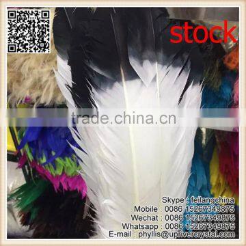 Bird Feather White And Black Mixs Colorful Natural Turkey Feather