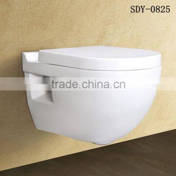 bathroom design wall hung toilet