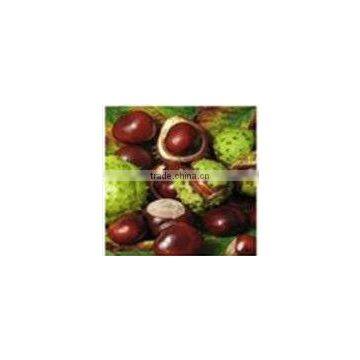 Natural Chestnut Shell Extract Brown Food Coloring