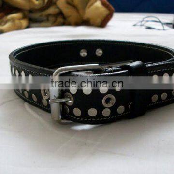 dog collar