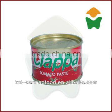 tomato paste manufacturer experienced for Nigeria market in 70gx50tins