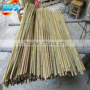 Bamboo Garden Tools/Bamboo cane support tree 120cm 14--16mm