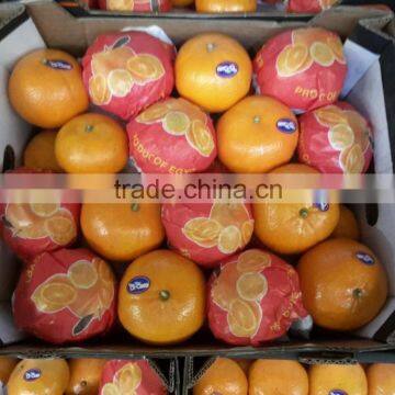 WINTER NAVEL ORANGE