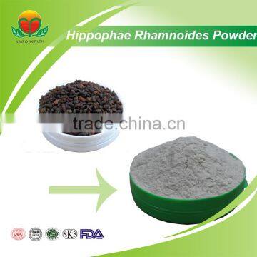 Competitive Price Hippophae Rhamnoides Powder