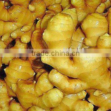 raw ginger