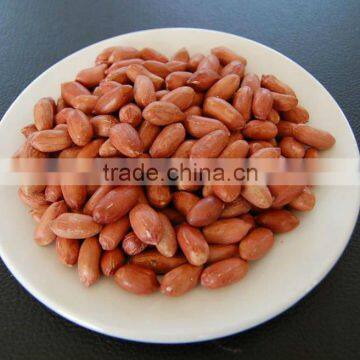 Shandong Roasted peanut with red skin crop
