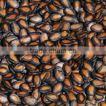 Chinese high quality big size black watermelon seeds with good price