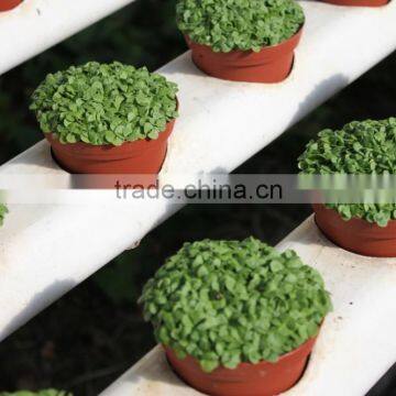 PVC Hydronic Pipes 110mm*73mm photo-2