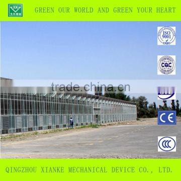 Vegetable Venlo Multi-span Glass/ pc Sheet Greenhouse With Factory Price photo-4