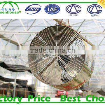 Agriculture Tunnel Greenhouse for Sale photo-2