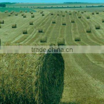 UV Treated Dark Green Silage Bale Net Wrap photo-6