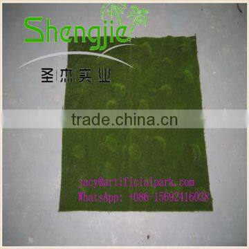 Shengjie New Style SJLJ0621 for Home Garden Decorative Artificial Moss photo-5