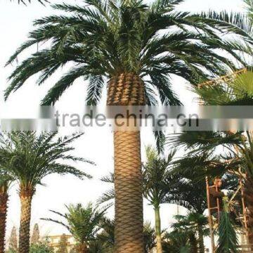 Artificial Decorative Painting Palm Tree Bark photo-2