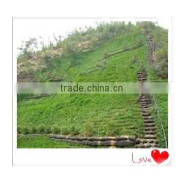 Mountain Green Slope Protecting Filament Fiber Non Woven Slope Geo Bag photo-5