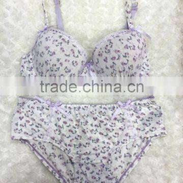 OEM Type Girl Range Bra and Brief Set With Push up Padded 2016 New Arrival photo-2