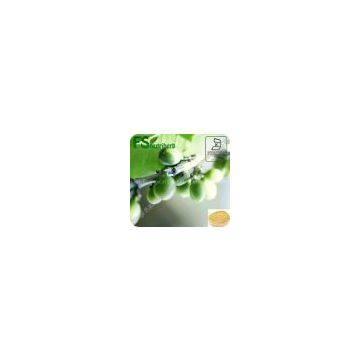 50% total Chlorogenic acid Green coffee bean extract