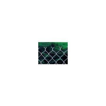 Chain Link Fence(galvanized )