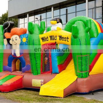 Customized Air Indoor/Outdoor Inflatable Combo