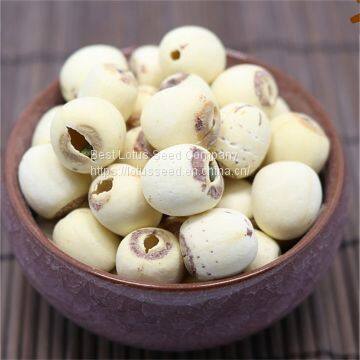 Lotus Seed Lotus Nut Lotus Kernel Dried Handmade White Lotus Seed Without Core Plumule photo-3