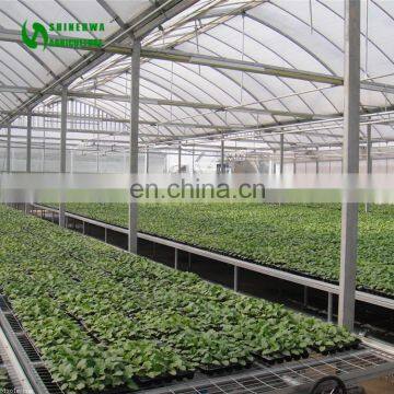 Commercial Agricultural Greenhouse Movable Nursery Bench photo-6