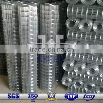 1m Width Hot-dipped Galvanized Welded Mesh Roll