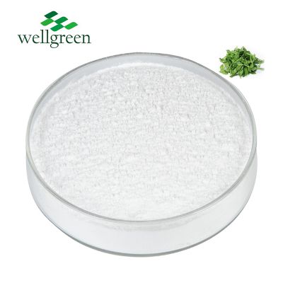 FREE SAMPLE Andrographis Paniculata Extract Andrographolide 98% Andrographis Paniculata Powder