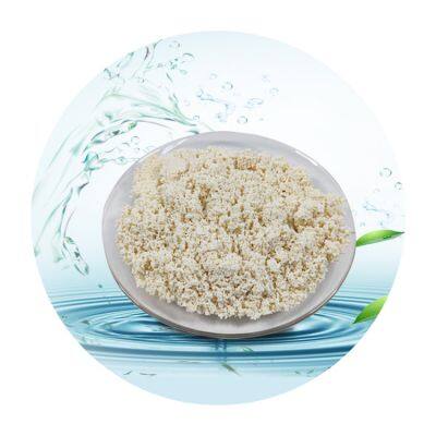 D301 Macroporous Weak Base Anion Exchange Resin Water Purifying Agents