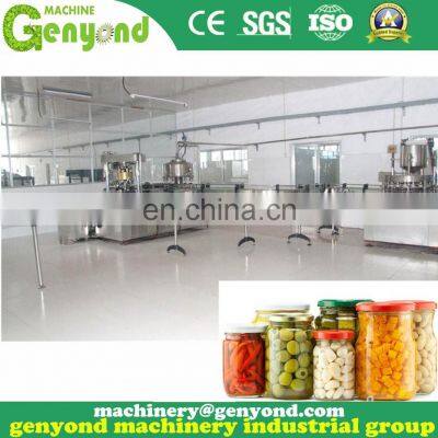 Promotional Cucumber Pickles Production Line photo-3