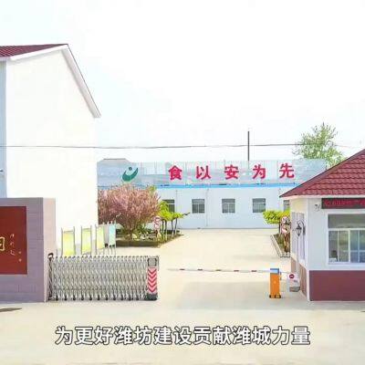 Weifang Longtai Food Co., Ltd company overview - view 1