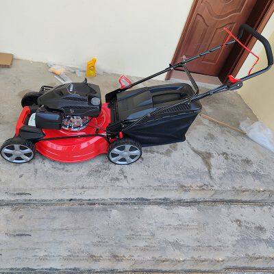 Hand-propelled Gasoline Mower photo-2
