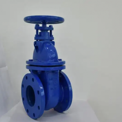 BS3463 Soft Seal Flange Non Rising Stem Gate Valve Manual Elastic Seat WCB GG25 Ductile Iron Gate Valve photo-5