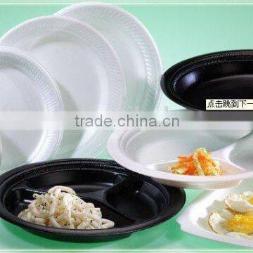 Good Quality Plastic Sheet Extruder photo-5