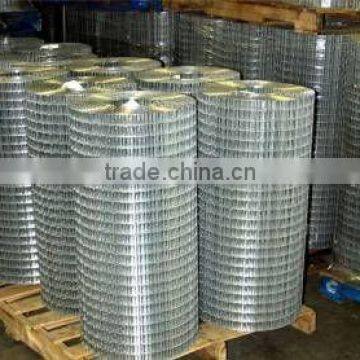 Hot Dipped Galvanized Welded Mesh