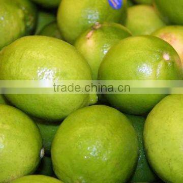 2015 New Crop of the Pomelo photo-5