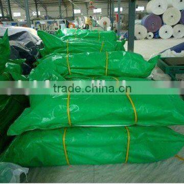 210gsm green 1000d tarpaulin& pe tarpaulin sheet for sale