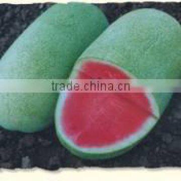 CG No.1 Chinese early matured and few juice watermelon seed