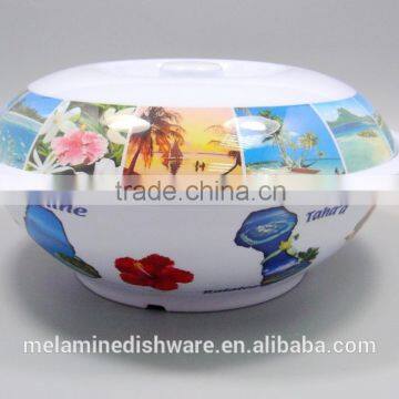 Chinese Style Melamine Ramen Bowl Soup Tureen With Decal photo-4
