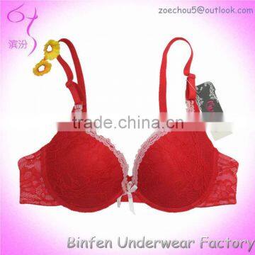 All Over Lace Stylish Hot Sexy Bra Photos