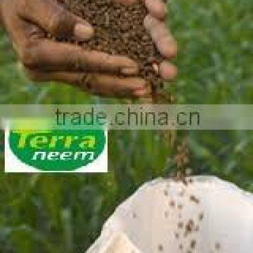 Neem Cake India For Export