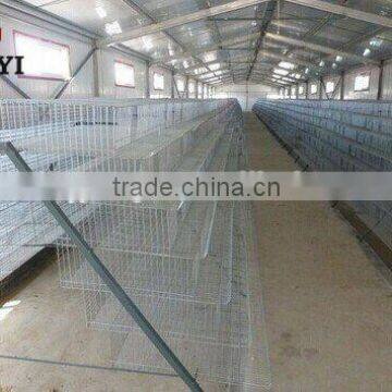 High Quality Quail Layer Poultry Cages For Kenya Farm And Quail Layer Cage Design ( Now or Never ) photo-6