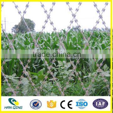 factory price BTO-22 & CBT-60 hot dipped galvanized / electro galvanized razor barbed wire fence on sale